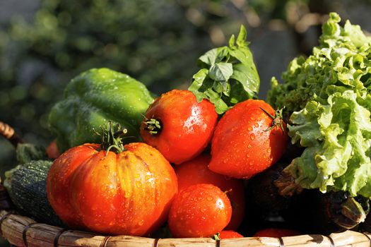 wet vegetables on the table in garden