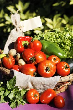some fresh vegetables on the table in garden