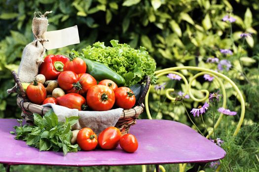 Different fresh vegetables on the table in garden