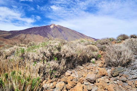 Mountain landscape of Teide National Park. Tenerife, Canary Islands