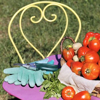 some fresh vegetables on the table in garden and yellow chair