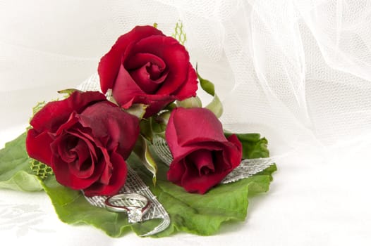 a  red roses and wedding rings on white background