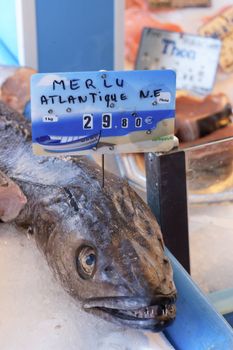 Fresh fishes on a french market 