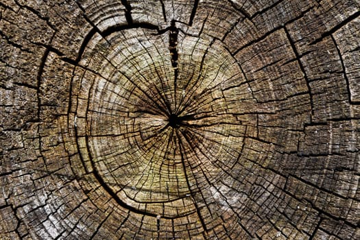 Wooden background