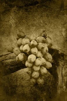 Grungy grapes on driftwood in grunge.