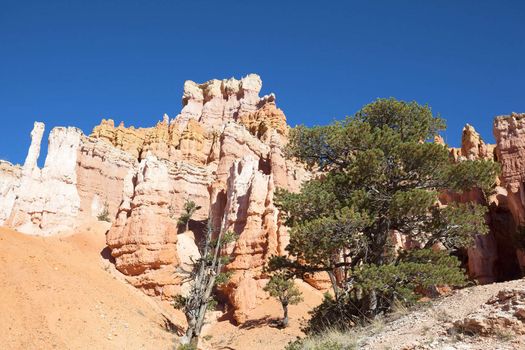 On the famous Navajo Trail in Bryce Canyon, USA