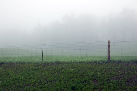 fence posts disappearing into the mist