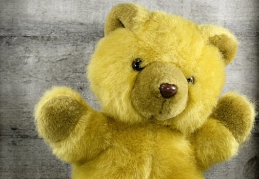 a teddy bear on wooden background