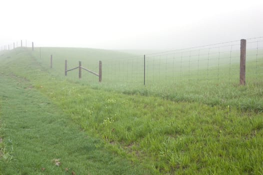 fence posts disappearing into the mist