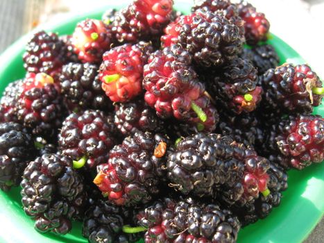 image of ripe dark berries of a mulberry on a plate