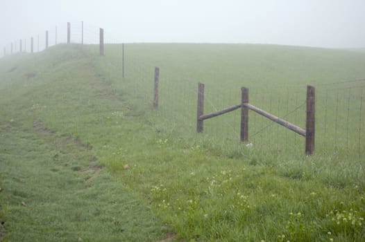 fence posts disappearing into the mist