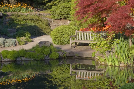 Bench under tree leaves on pond shore