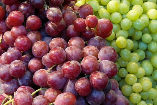 Red and Green Grapes Fruits Closeup