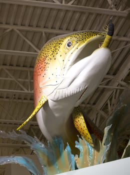 a large reainbow trout staue biting a flie