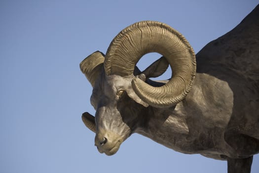 big horn sheep bronze statue