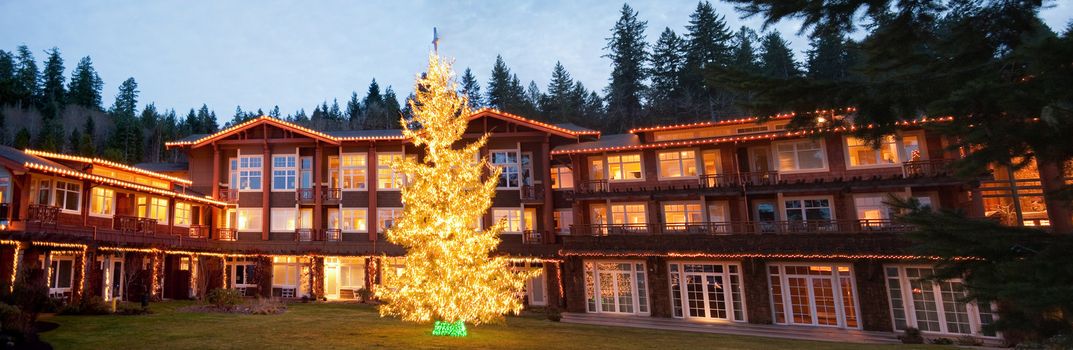 Hotel exterior and Christmas tree
