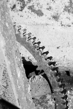 gear wheel