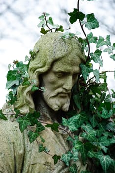 Jesus with ivy
