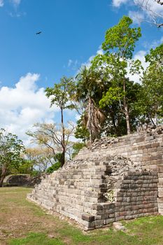 Maya temple in the ancient city of Lubaantum, southern Belize. Central America.