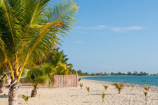 Beach in Placencia, Belize, Central America.