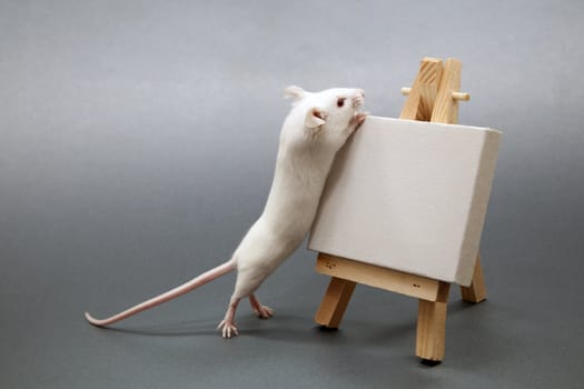 Little white mouse standing on an easel.