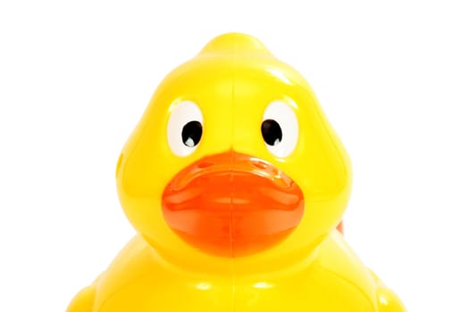 Plastic yellow duck head bath flat on white background