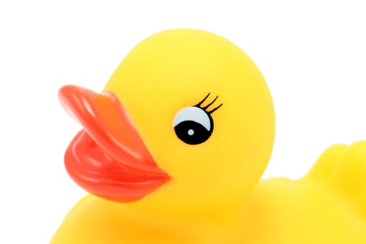 closeup of rubber duck bath flat on white background
