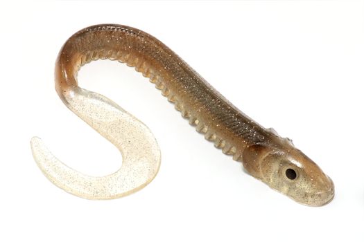 rubber imitation lure lamprey fishing for brown on white background