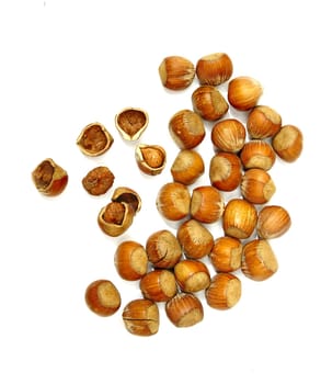 hazelnut in shells and unshelled on white background closeup