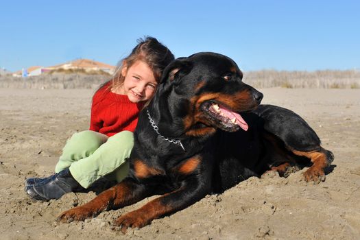 portrait of a purebred rottweiler and little girl on the beach