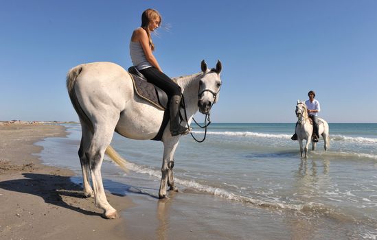 father and daughter with arabian and camargue horses on the beach. focus on the girl