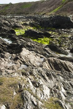 rugged rocks covered in grass  on fistral beach, newquay, cornwall, uk