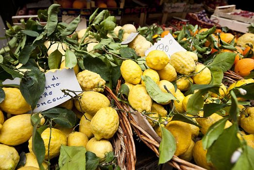 close-up of lemons for sale sorrento italy