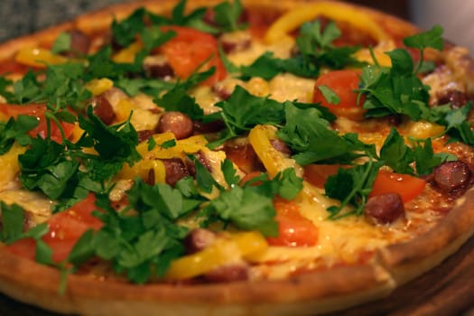 Closeup shot of a hot pizza
