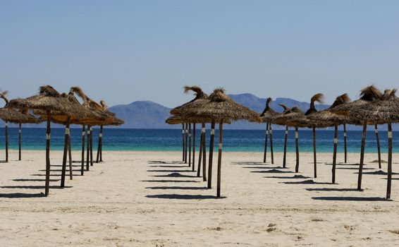 beach in Mallorca