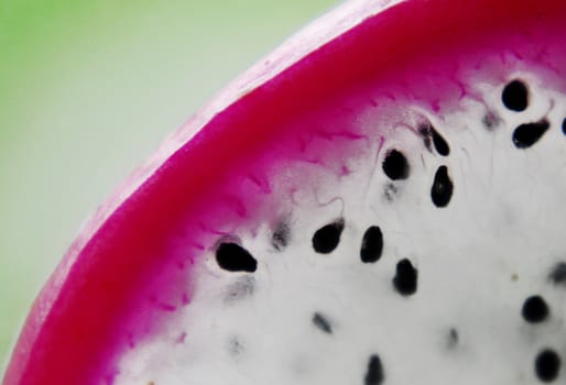 Dragon fruit