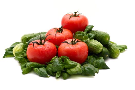 Tomatoes, cucumbers and basil on a white background. 