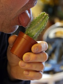  person licking a cactus