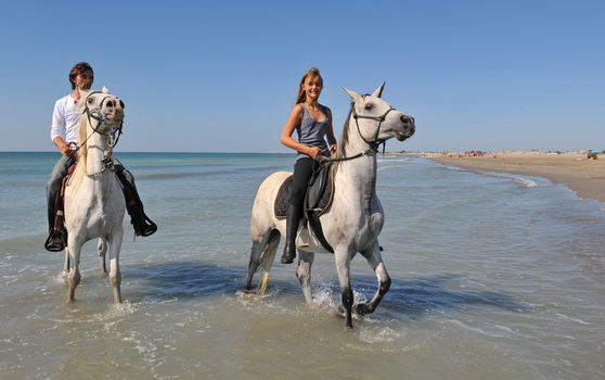 father and daughter with arabian and camargue horses on the beach