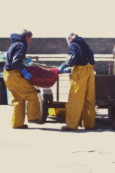 fishermen on the cob hauling muscles into trailer