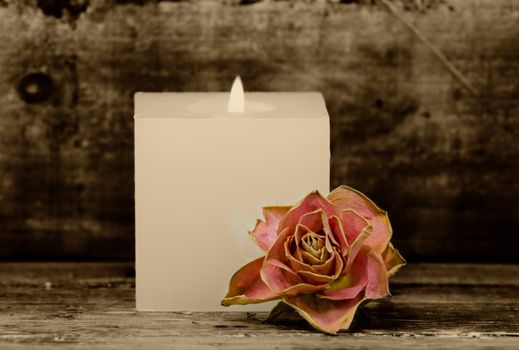 a faded rose with a candle in the background
