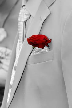 a red rose in the pocket of the suit