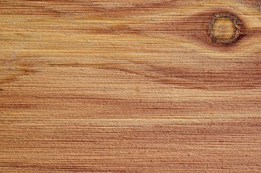 A macro closeup of wood grain for background or copy space.