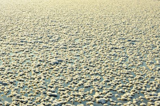 Closeup of ice crystals on the ice surface.