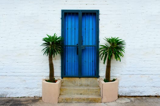 White wall brick background with blue door and palm trees. 
