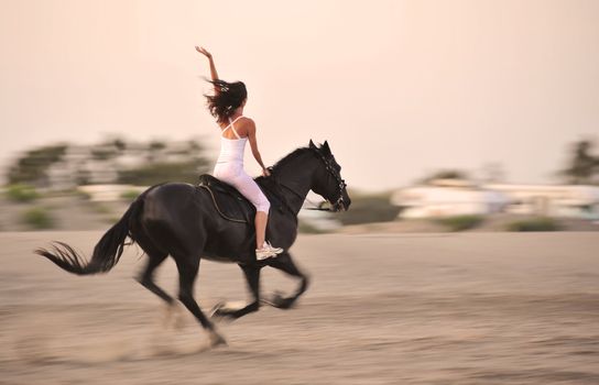 galloping black stallion with a young girl on a beach