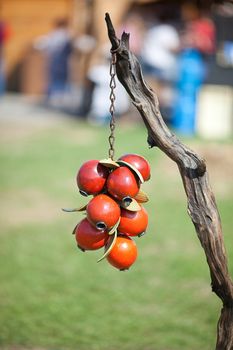 wood berries hang on a branch