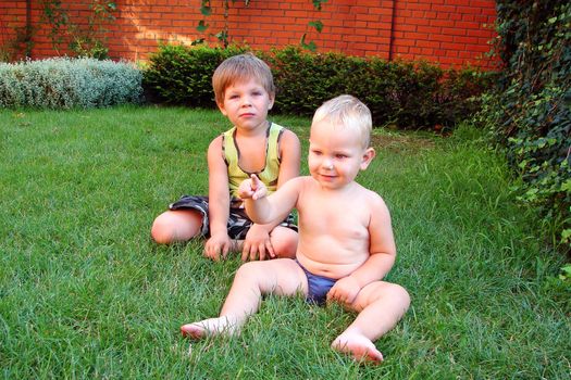 Two brothers on the lawn