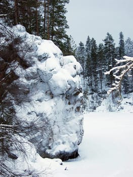 The rock in the winter snow-covered wood