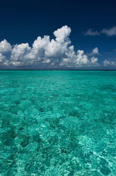 Crystal clear turquoise water at tropical maldivian beach